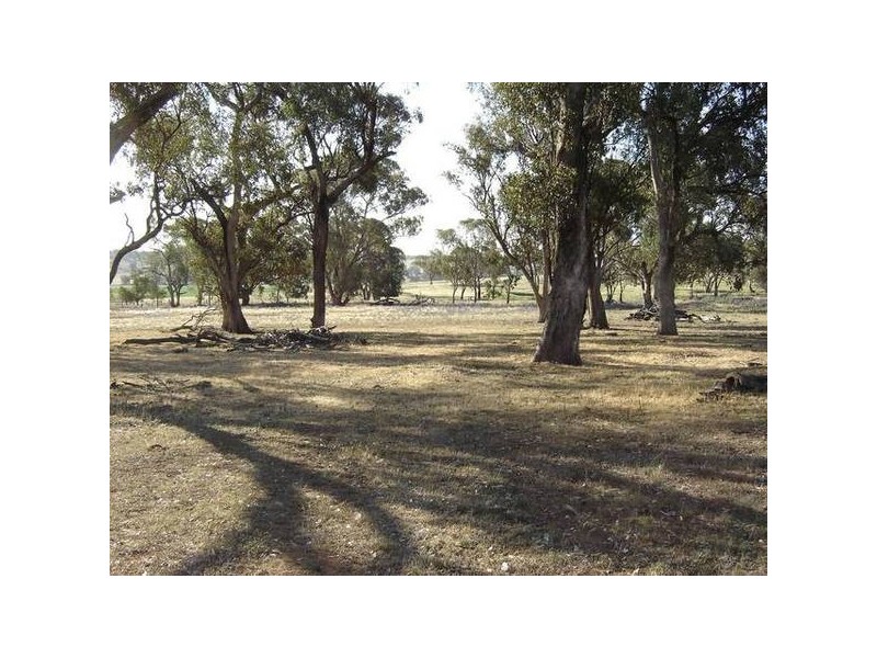 2 Garra Road, Molong NSW 2866