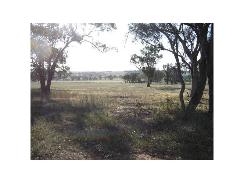 3 Garra Road, Molong NSW 2866