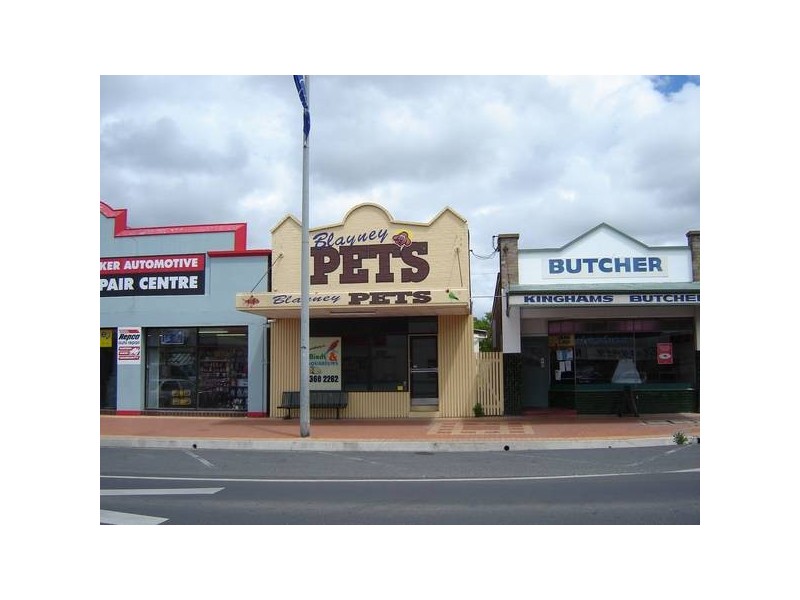 133 Adelaide Street, Blayney NSW 2799