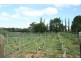 462 Icely Road, Orange NSW 2800
