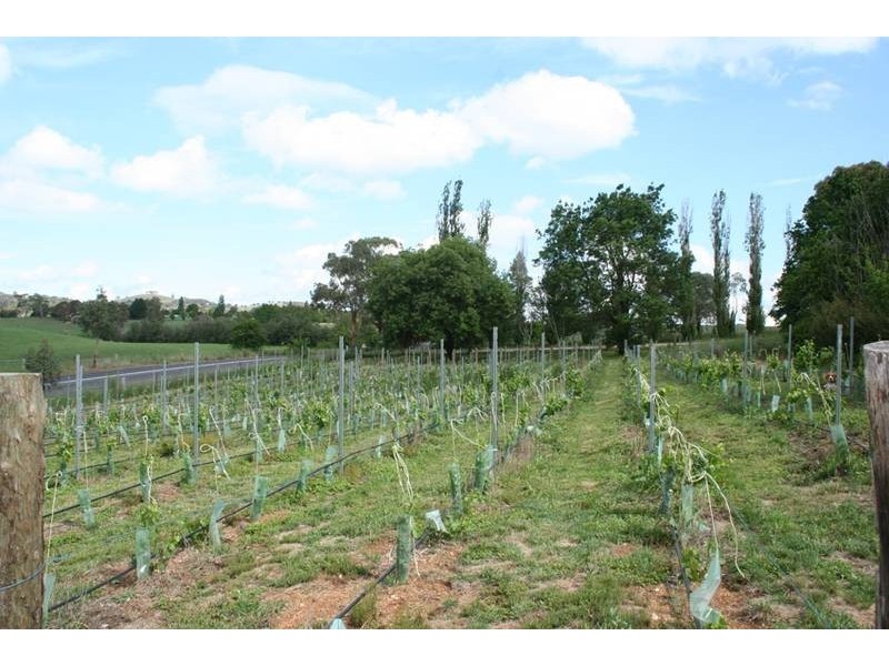 462 Icely Road, Orange NSW 2800