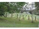 462 Icely Road, Orange NSW 2800