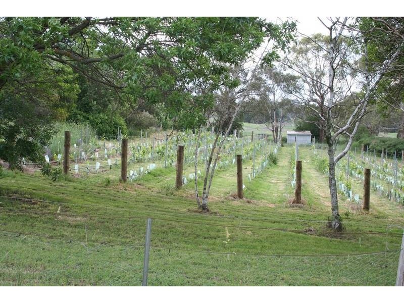462 Icely Road, Orange NSW 2800