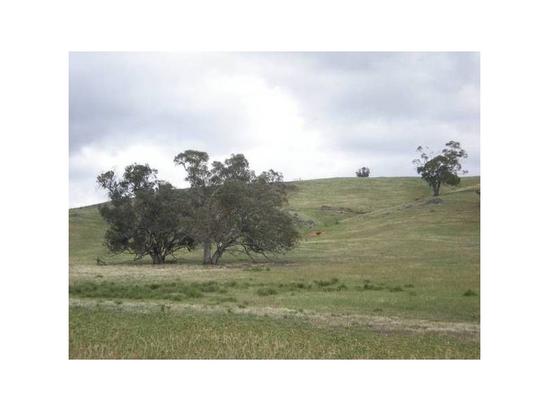 101 Yarrawonga, Orange NSW 2800