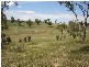 12 South, Molong NSW 2866