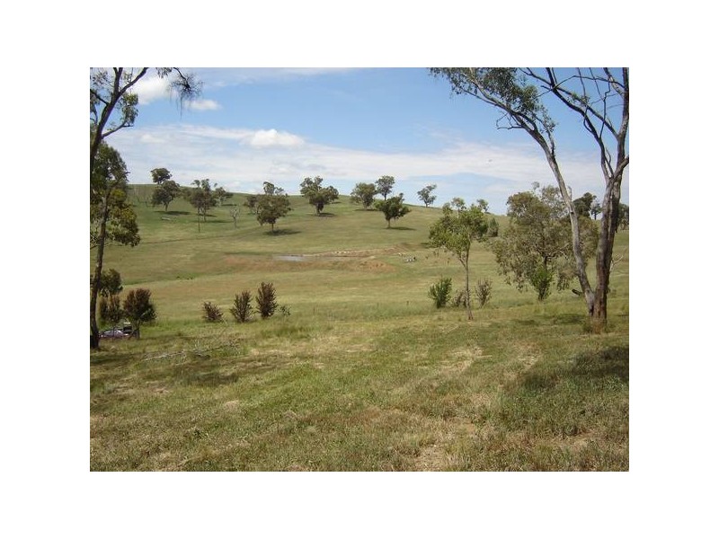 12 South, Molong NSW 2866