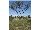 12 South, Molong NSW 2866