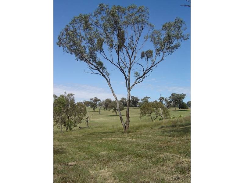 12 South, Molong NSW 2866