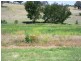 1 Market Street, Molong NSW 2866