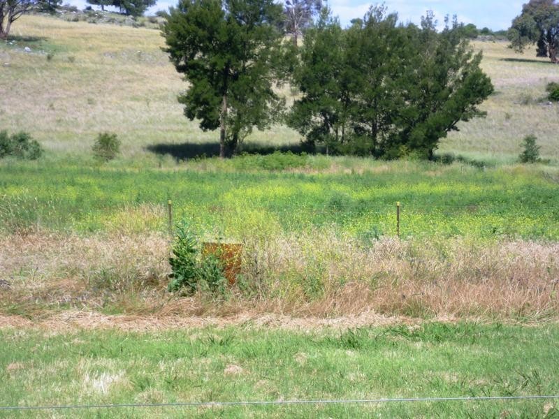 1 Market Street, Molong NSW 2866