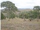337 Dicksons Lane, Orange NSW 2800