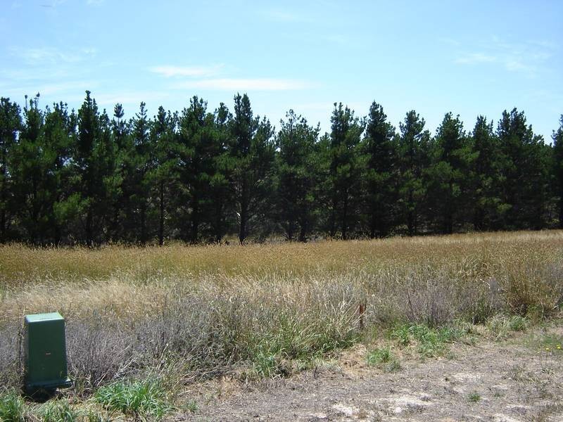 Lot 35, 40, 41,  Johnstone Street, Blayney NSW 2799