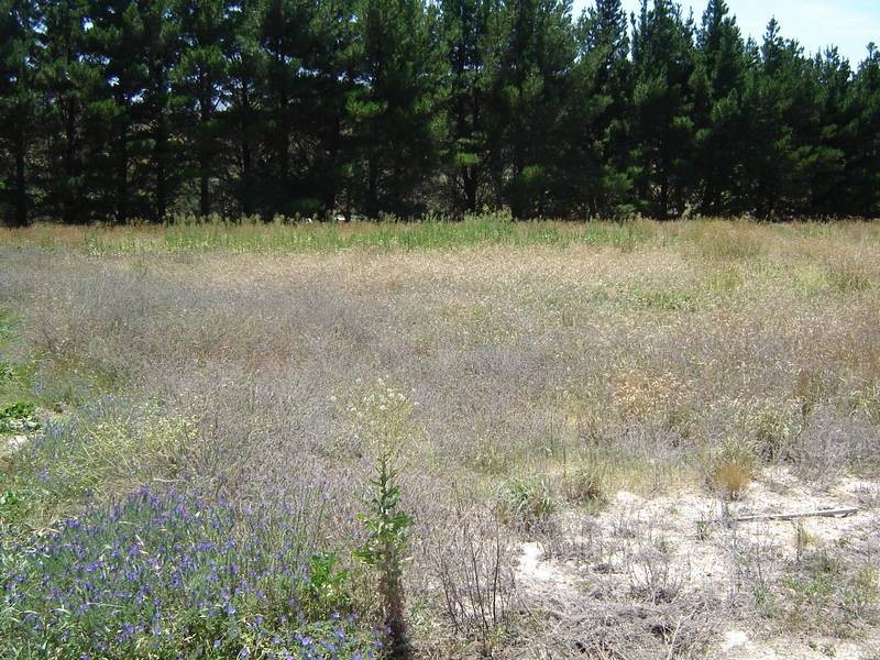 Lot 35, 40, 41,  Johnstone Street, Blayney NSW 2799