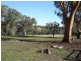 210 Packham Drive, Molong NSW 2866