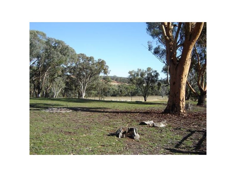 210 Packham Drive, Molong NSW 2866
