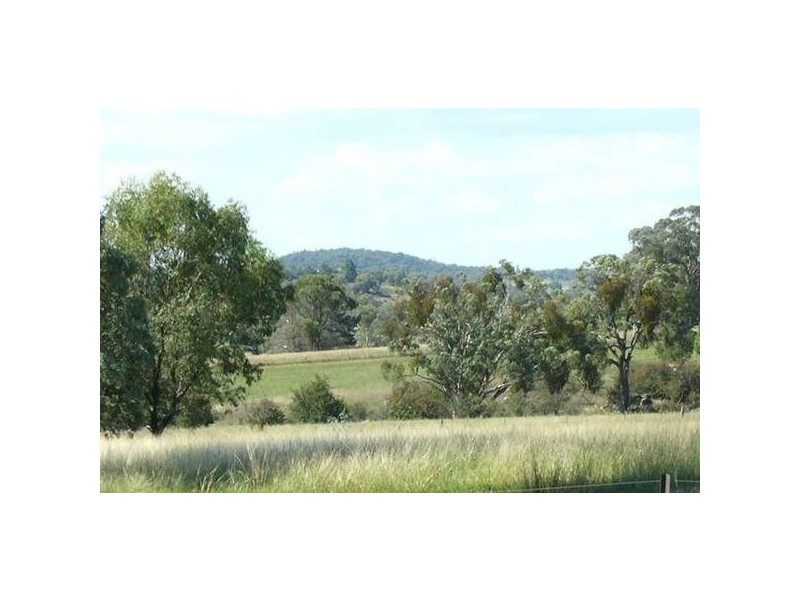 210 Packham Drive, Molong NSW 2866
