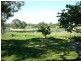 210 Packham Drive, Molong NSW 2866