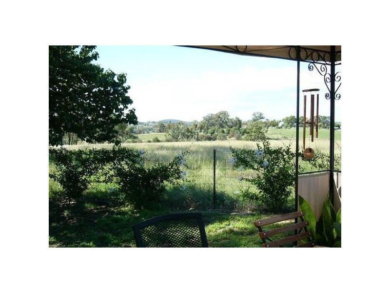 210 Packham Drive, Molong NSW 2866