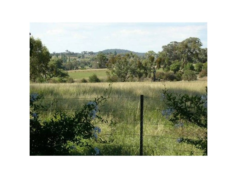 210 Packham Drive, Molong NSW 2866