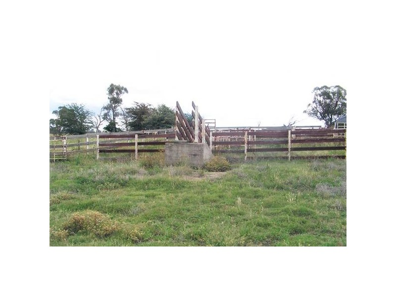 - Larras Lee, Orange NSW 2800
