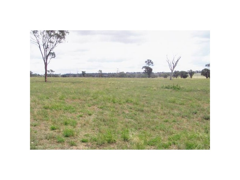 - Larras Lee, Orange NSW 2800