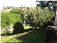 10 McArdle Street, Molong NSW 2866