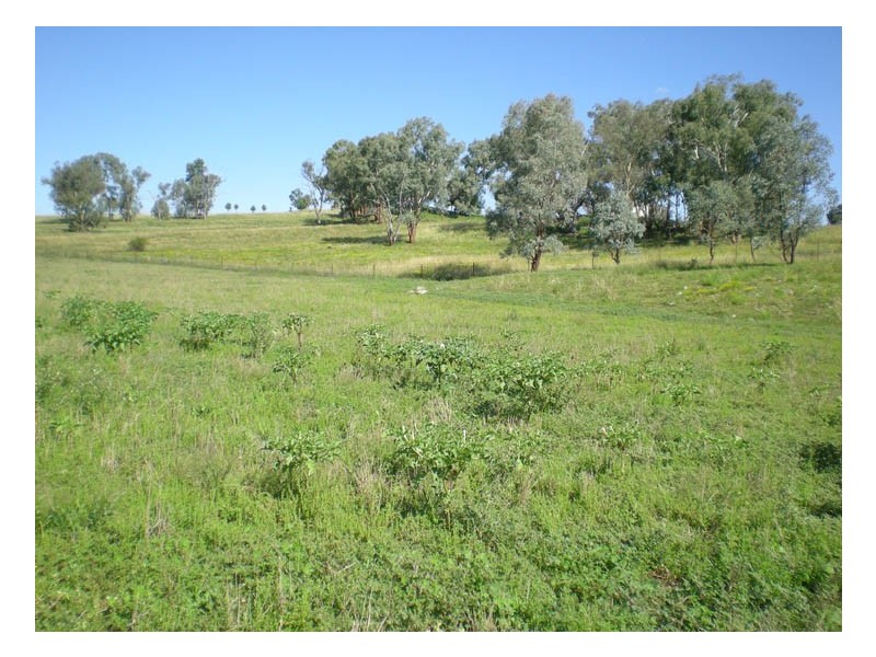 - Kurrajong Road, Manildra, Orange NSW 2800