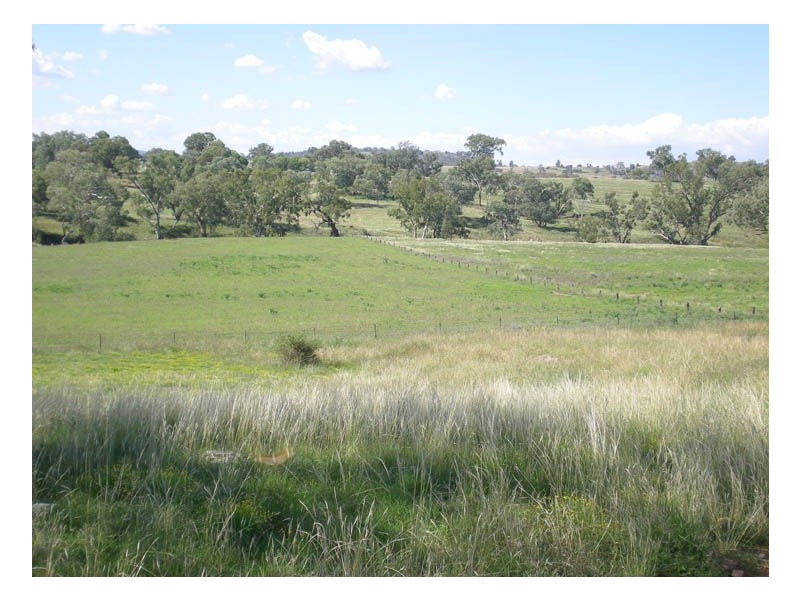 - Kurrajong Road, Manildra, Orange NSW 2800