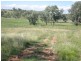 - Kurrajong Road, Manildra, Orange NSW 2800