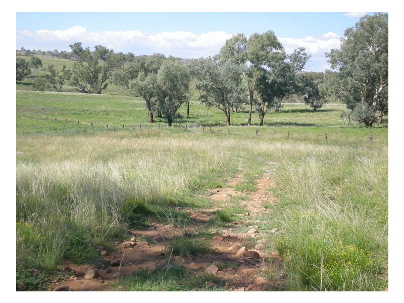 - Kurrajong Road, Manildra, Orange NSW 2800