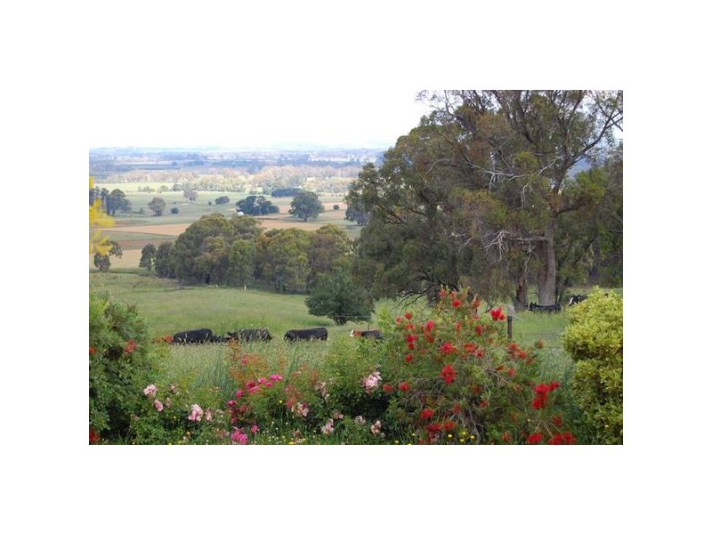 - Giles Road, Orange NSW 2800