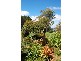 - Giles Road, Orange NSW 2800