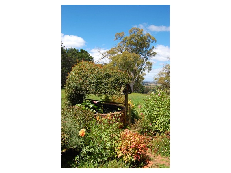 - Giles Road, Orange NSW 2800