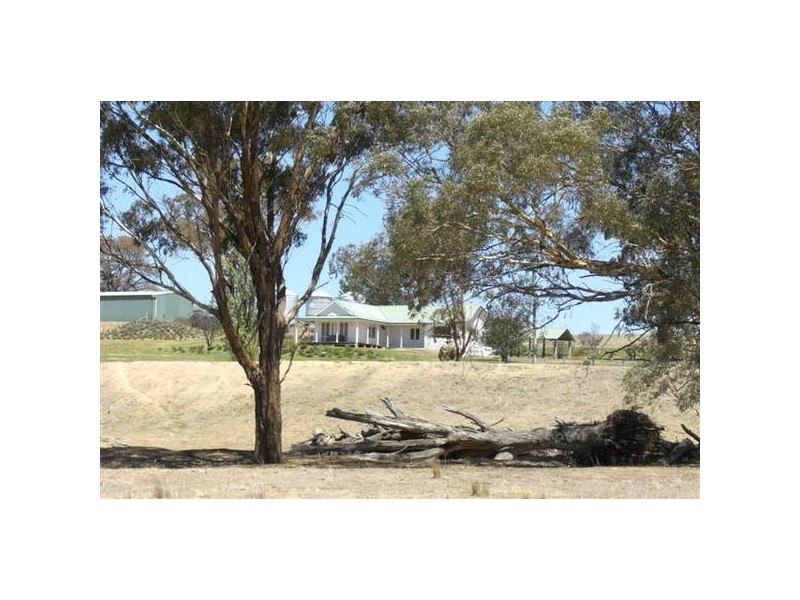 LUCAN PARK, Lyndhurst NSW 2797