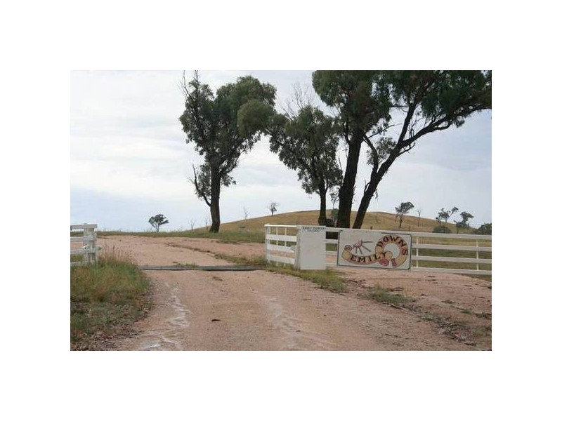 290 Cashens Lane, Orange NSW 2800