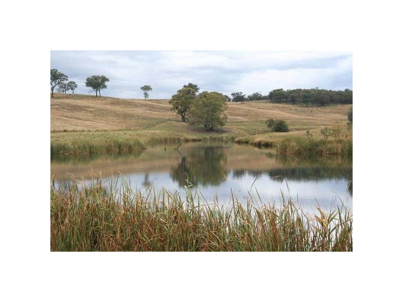 290 Cashens Lane, Orange NSW 2800