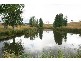290 Cashens Lane, Orange NSW 2800