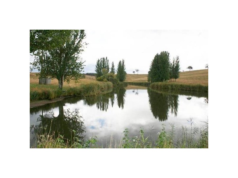 290 Cashens Lane, Orange NSW 2800