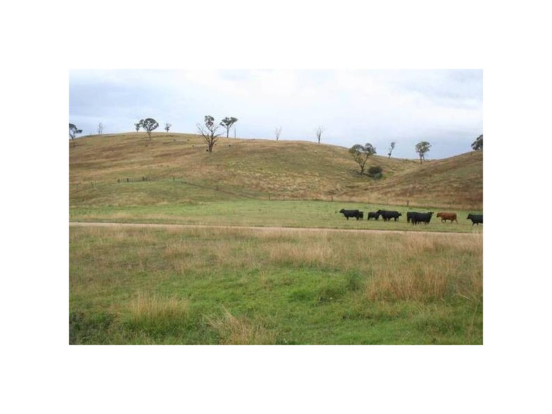 290 Cashens Lane, Orange NSW 2800