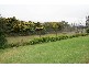 290 Cashens Lane, Orange NSW 2800