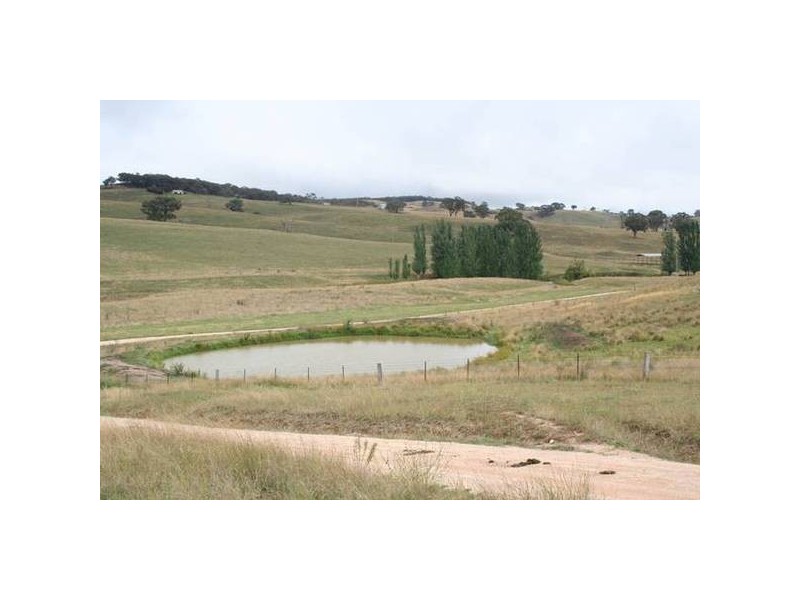 290 Cashens Lane, Orange NSW 2800