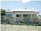 33 Wellington Street, Molong NSW 2866