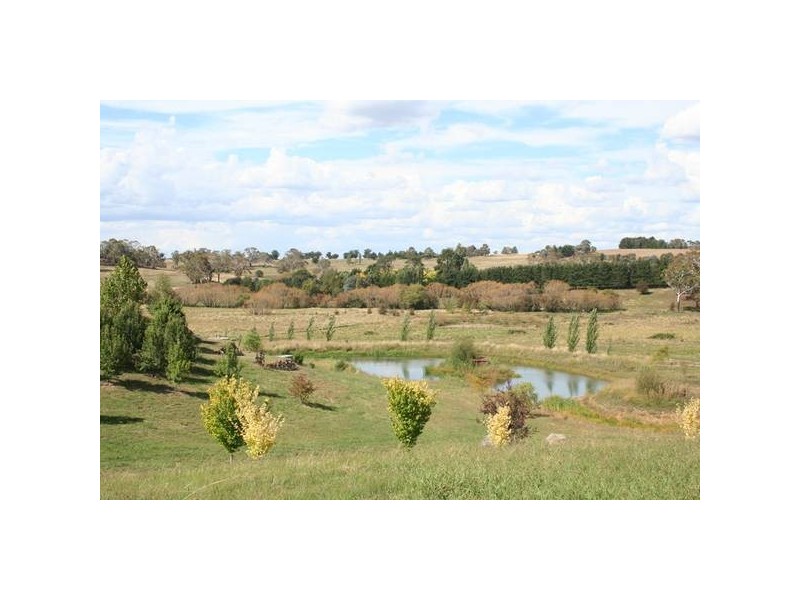 - Cargo Road, Orange NSW 2800