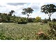 - Cargo Road, Orange NSW 2800