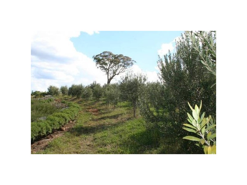 - Cargo Road, Orange NSW 2800