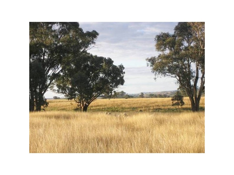 Lot 100 Kites Mount, Molong NSW 2866