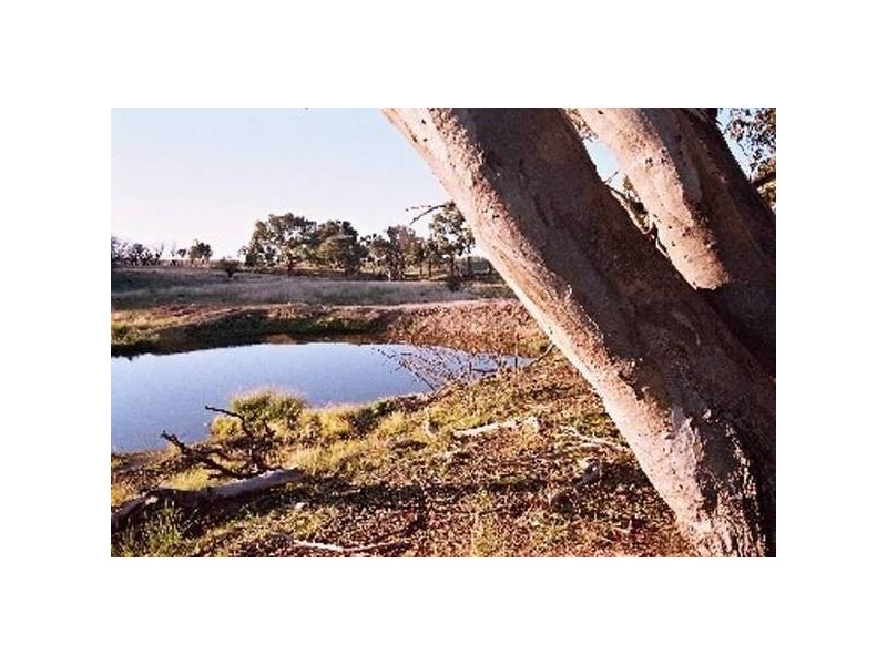 Lot 100 Kites Mount, Molong NSW 2866