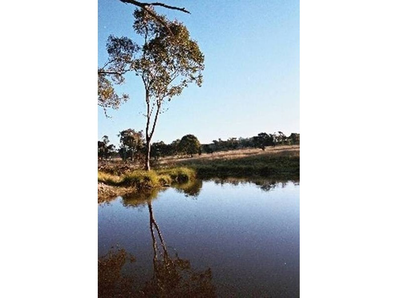 Lot 100 Kites Mount, Molong NSW 2866