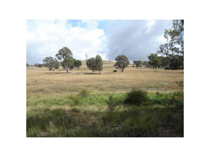 Lot 100 Kites Mount, Molong NSW 2866