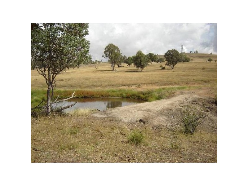 Lot 100 Kites Mount, Molong NSW 2866